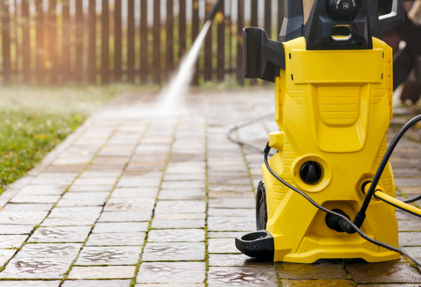 Animal Enclosure Cleaning in Sterling Heights, MI